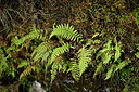 BUITEN BEELD Foto: 448987