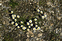 BUITEN BEELD Foto: 448991