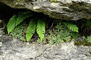 BUITEN BEELD Foto: 448992