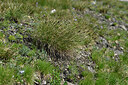 BUITEN BEELD Foto: 448993