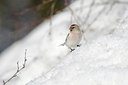 BUITEN BEELD Foto: 44002