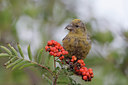 BUITEN BEELD Foto: 44031