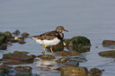 BUITEN BEELD Foto: 44036