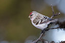 BUITEN BEELD Foto: 44038