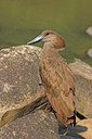 BUITEN BEELD Foto: 44045