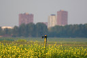 BUITEN BEELD Foto: 44075