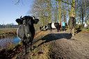 BUITEN BEELD Foto: 44180