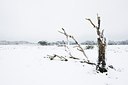 BUITEN BEELD Foto: 44208