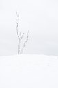 BUITEN BEELD Foto: 44213