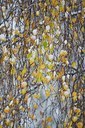 BUITEN BEELD Foto: 44217