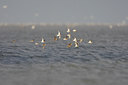 BUITEN BEELD Foto: 44261