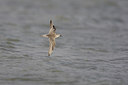 BUITEN BEELD Foto: 44268