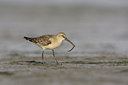 BUITEN BEELD Foto: 44270