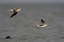 BUITEN BEELD Foto: 44315