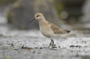 BUITEN BEELD Foto: 44322