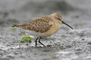 BUITEN BEELD Foto: 44323