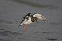 BUITEN BEELD Foto: 44329
