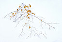 BUITEN BEELD Foto: 44351