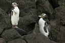 BUITEN BEELD Foto: 44358