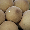 BUITEN BEELD Foto: 44361