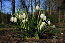 BUITEN BEELD Foto: 44367