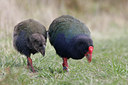 BUITEN BEELD Foto: 44369