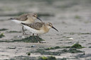 BUITEN BEELD Foto: 44375
