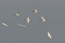 BUITEN BEELD Foto: 44377