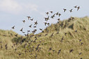 BUITEN BEELD Foto: 44418