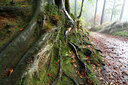 BUITEN BEELD Foto: 44423