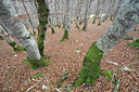 BUITEN BEELD Foto: 44438
