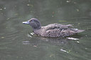 BUITEN BEELD Foto: 44447