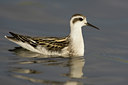 BUITEN BEELD Foto: 44455