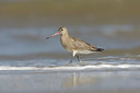 BUITEN BEELD Foto: 44461