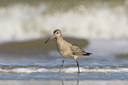 BUITEN BEELD Foto: 44462
