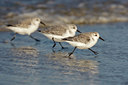 BUITEN BEELD Foto: 44469
