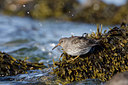 BUITEN BEELD Foto: 44479