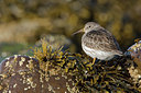 BUITEN BEELD Foto: 44480