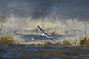 BUITEN BEELD Foto: 44487