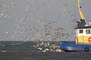 BUITEN BEELD Foto: 44490