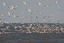BUITEN BEELD Foto: 44491