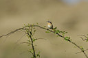 BUITEN BEELD Foto: 44528
