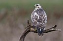 BUITEN BEELD Foto: 44576