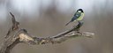 BUITEN BEELD Foto: 44582