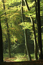 BUITEN BEELD Foto: 44587