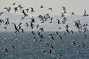 BUITEN BEELD Foto: 44590