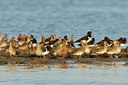 BUITEN BEELD Foto: 44602