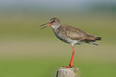 BUITEN BEELD Foto: 44615