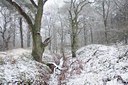 BUITEN BEELD Foto: 44659