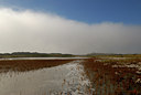 BUITEN BEELD Foto: 44673